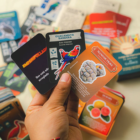 TropiCombo 3 Juegos de Memoria - Aves, Frutas y Palabras Colombianas | Educativo